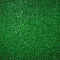 Grass Comfort 20(трава) 2,0 м - фото 5850